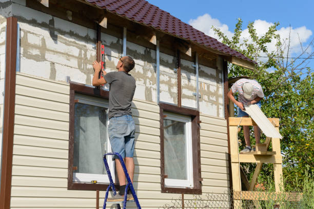 Best Insulated Siding Installation  in Valrico, FL